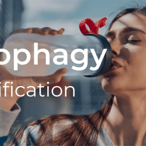 Autophagy: Detoxification