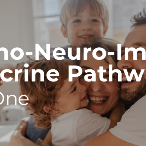 Psycho-Neuro-Immune Endocrine Pathway: All in One